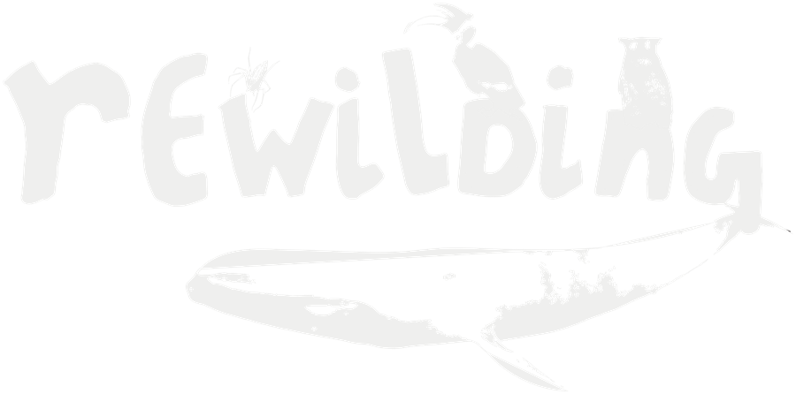 Rewilding Mission - home